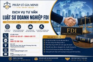 Dịch vụ tư vấn luật sư doanh nghiệp FDI