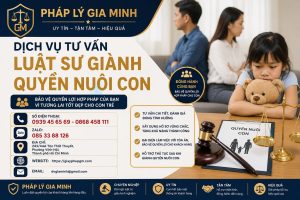 Dịch vụ tư vấn luật sư giành quyền nuôi con
