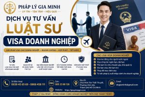 Dịch vụ tư vấn luật sư visa doanh nghiệp