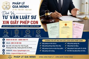 Dịch vụ tư vấn luật sư xin giấy phép con