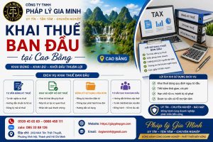 Khai thuế ban đầu tại Cao Bằng