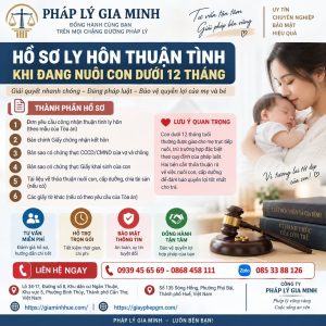 Hồ sơ ly hôn thuận tình khi đang nuôi con dưới 12 tháng