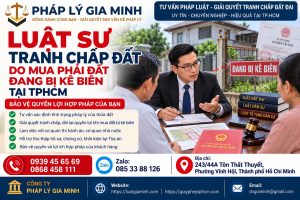 Luật sư tranh chấp đất do mua phải đất đang bị kê biên tại TPHCM